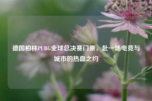 德国柏林PUBG全球总决赛门票，赴一场电竞与城市的热血之约