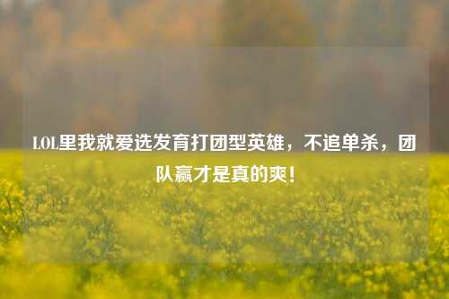 LOL里我就爱选发育打团型英雄，不追单杀，团队赢才是真的爽！