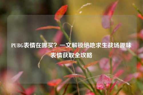 PUBG表情在哪买？一文解锁绝地求生战场趣味表情获取全攻略