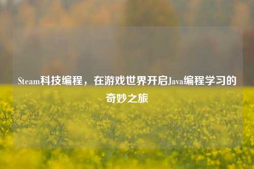 Steam科技编程，在游戏世界开启Java编程学习的奇妙之旅