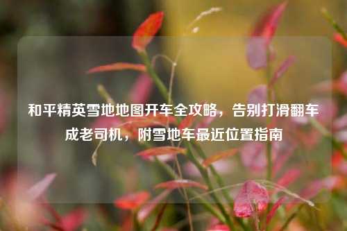 和平精英雪地地图开车全攻略，告别打滑翻车成老司机，附雪地车最近位置指南