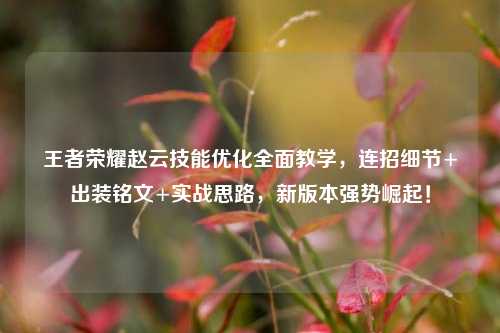 王者荣耀赵云技能优化全面教学，连招细节+出装铭文+实战思路，新版本强势崛起！