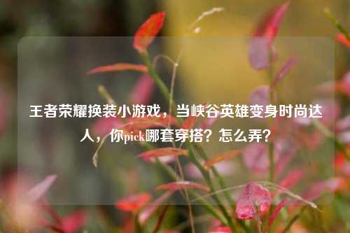 王者荣耀换装小游戏，当峡谷英雄变身时尚达人，你pick哪套穿搭？怎么弄？