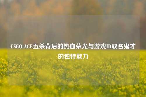 CSGO ACE五杀背后的热血荣光与游戏ID取名鬼才的独特魅力