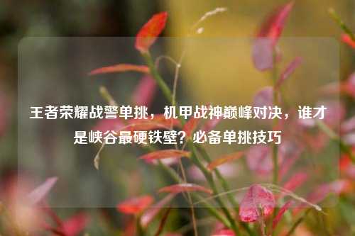 王者荣耀战警单挑，机甲战神巅峰对决，谁才是峡谷最硬铁壁？必备单挑技巧
