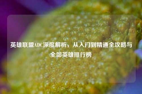 英雄联盟ADC深度解析，从入门到精通全攻略与全部英雄排行榜