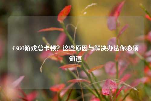 CSGO游戏总卡顿？这些原因与解决办法你必须知道