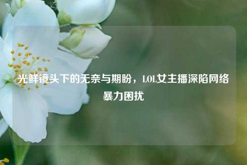 光鲜镜头下的无奈与期盼，LOL女主播深陷 *** 暴力困扰