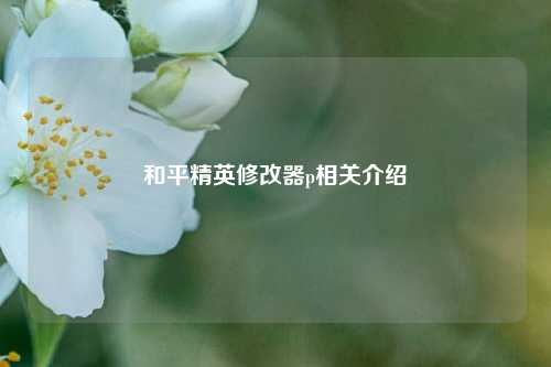和平精英修改器p相关介绍