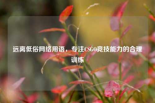 远离低俗 *** 用语，专注CSGO竞技能力的合理训练