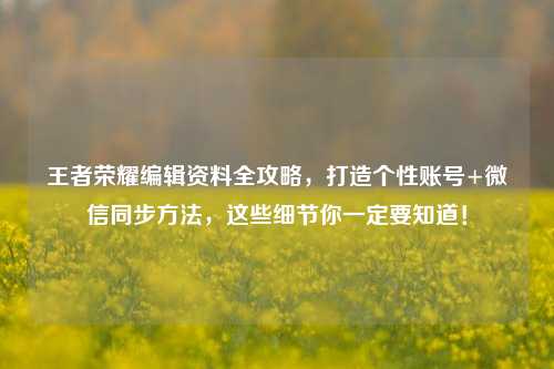 王者荣耀编辑资料全攻略，打造个性账号+微信同步 *** ，这些细节你一定要知道！