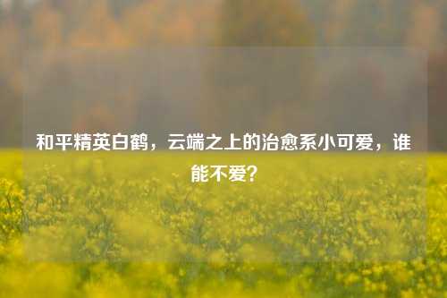 和平精英白鹤，云端之上的治愈系小可爱，谁能不爱？