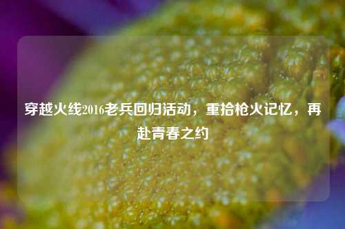穿越火线2016老兵回归活动，重拾枪火记忆，再赴青春之约