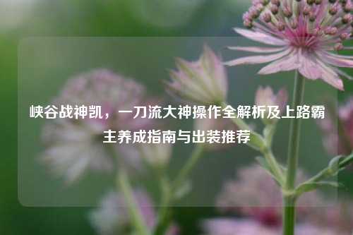 峡谷战神凯，一刀流大神操作全解析及上路霸主养成指南与出装推荐