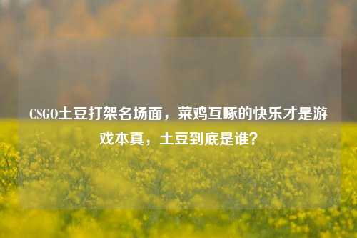 CSGO土豆打架名场面，菜鸡互啄的快乐才是游戏本真，土豆到底是谁？