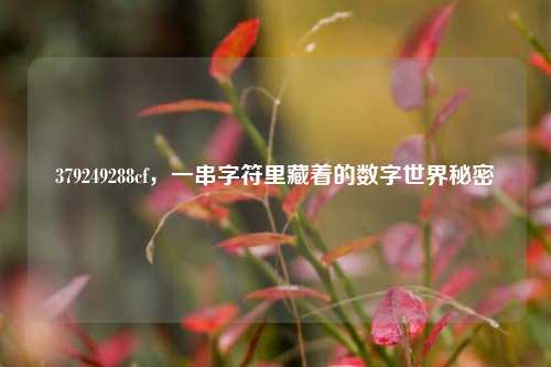 379249288cf，一串字符里藏着的数字世界秘密