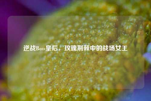逆战Boss皇后，玫瑰荆棘中的战场女王