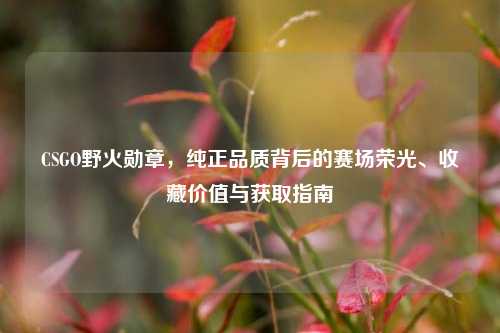 CSGO野火勋章，纯正品质背后的赛场荣光、收藏价值与获取指南