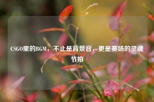 CSGO里的BGM，不止是背景音，更是赛场的灵魂节拍