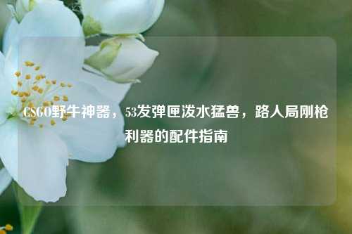 CSGO野牛神器，53发弹匣泼水猛兽，路人局刚枪利器的配件指南