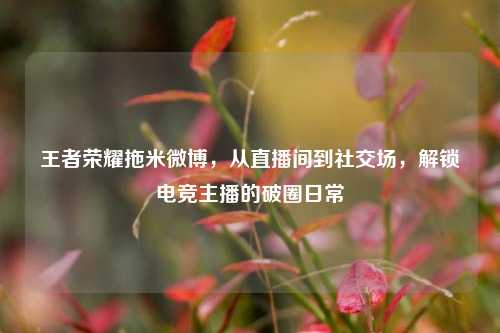 王者荣耀拖米微博，从直播间到社交场，解锁电竞主播的破圈日常
