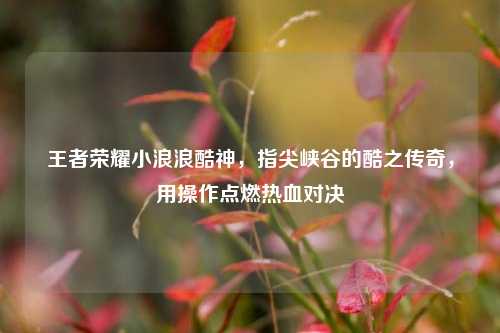 王者荣耀小浪浪酷神，指尖峡谷的酷之传奇，用操作点燃热血对决