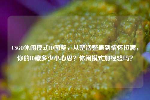 CSGO休闲模式ID图鉴，从整活整蛊到情怀拉满，你的ID藏多少小心思？休闲模式加经验吗？