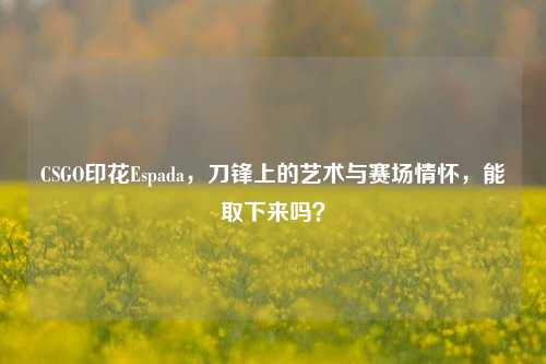CSGO印花Espada，刀锋上的艺术与赛场情怀，能取下来吗？