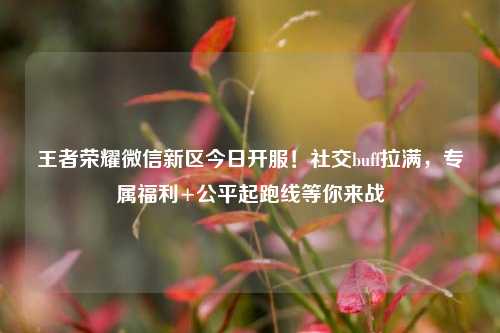 王者荣耀微信新区今日开服！社交buff拉满，专属福利+公平起跑线等你来战