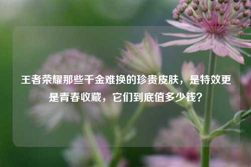 王者荣耀那些千金难换的珍贵皮肤，是特效更是青春收藏，它们到底值多少钱？