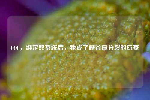 LOL，绑定双系统后，我成了峡谷最分裂的玩家