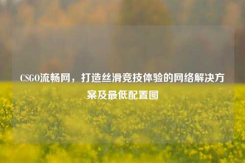 CSGO流畅网，打造丝滑竞技体验的 *** 解决方案及更低配置图