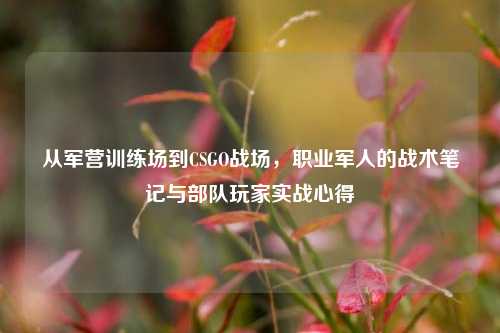 从军营训练场到CSGO战场，职业军人的战术笔记与部队玩家实战心得