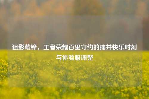 狙影藏锋，王者荣耀百里守约的痛并快乐时刻与体验服调整