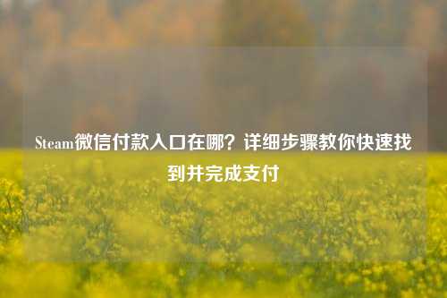 Steam微信付款入口在哪？详细步骤教你快速找到并完成支付