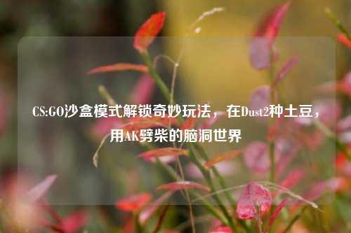 CS:GO沙盒模式解锁奇妙玩法，在Dust2种土豆，用AK劈柴的脑洞世界