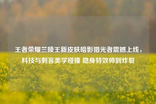 王者荣耀兰陵王新皮肤暗影猎光者震撼上线，科技与刺客美学碰撞 隐身特效帅到炸裂