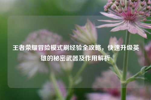 王者荣耀冒险模式刷经验全攻略，快速升级英雄的秘密武器及作用解析