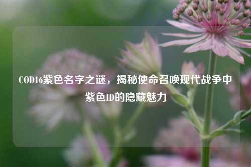 COD16紫色名字之谜，揭秘使命召唤现代战争中紫色ID的隐藏魅力