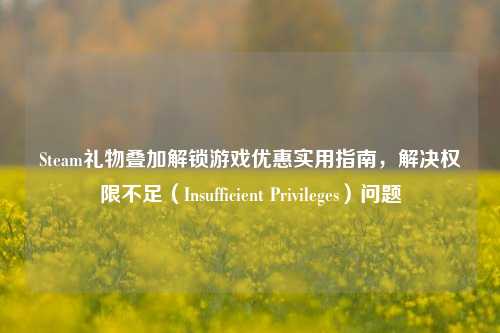 Steam礼物叠加解锁游戏优惠实用指南，解决权限不足（Insufficient Privileges）问题