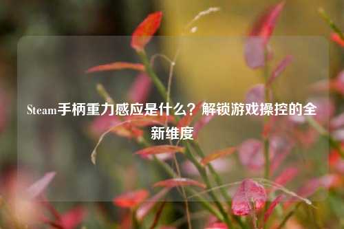 Steam手柄重力感应是什么？解锁游戏操控的全新维度