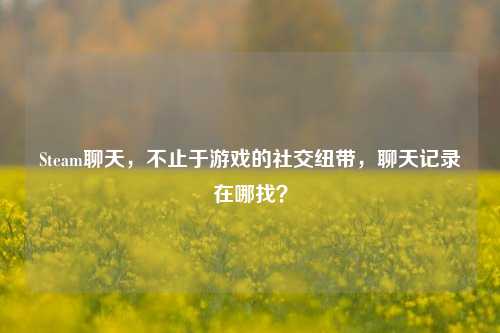 Steam聊天，不止于游戏的社交纽带，聊天记录在哪找？