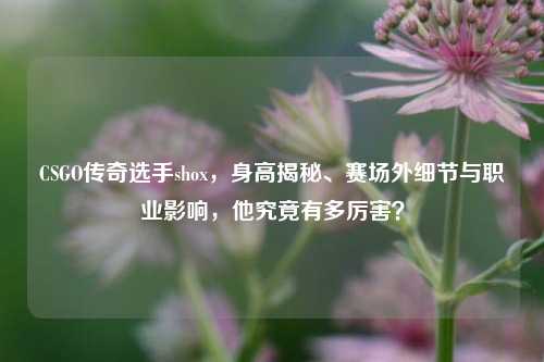 CSGO传奇选手shox，身高揭秘、赛场外细节与职业影响，他究竟有多厉害？