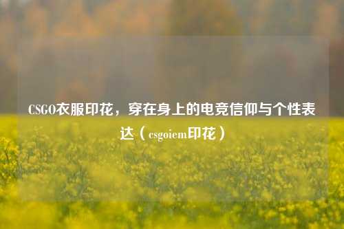 CSGO衣服印花，穿在身上的电竞信仰与个性表达（csgoiem印花）