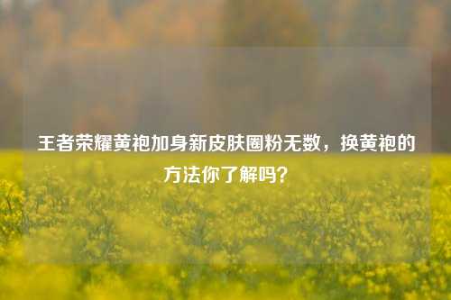 王者荣耀黄袍加身新皮肤圈粉无数，换黄袍的 *** 你了解吗？