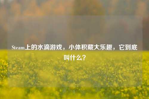 Steam上的水滴游戏，小体积藏大乐趣，它到底叫什么？