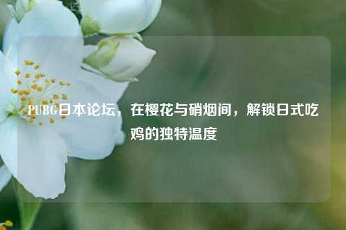PUBG日本论坛，在樱花与硝烟间，解锁日式吃鸡的独特温度