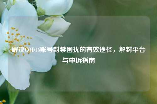 解决COD16账号封禁困扰的有效途径，解封平台与申诉指南