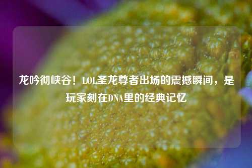 龙吟彻峡谷！LOL圣龙尊者出场的震撼瞬间，是玩家刻在DNA里的经典记忆