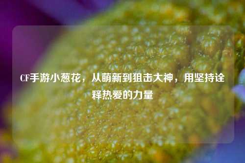 CF手游小葱花,从萌新到狙击大神,用坚持诠释热爱的力量